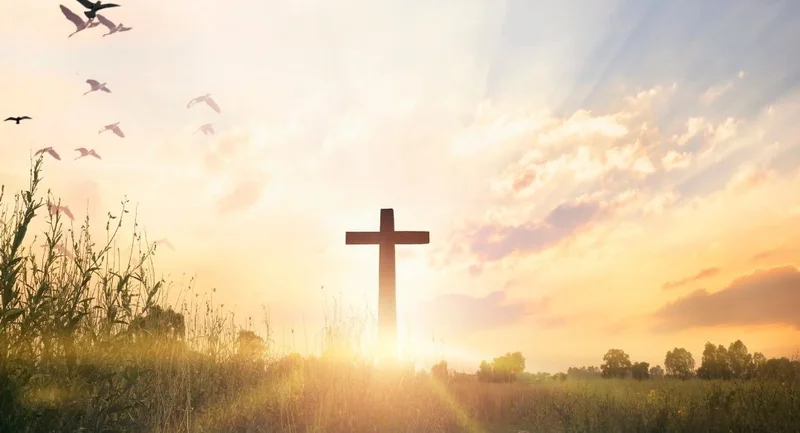 Cross-Border Activity: Impact and Definition